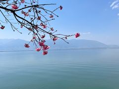 -小普陀