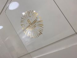 -SKINIST丽铂医疗美容