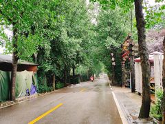 -三圣花乡旅游区