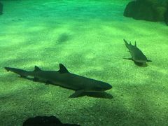 -常州海昌海洋探索馆