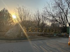 -永定河休闲森林公园