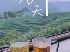 -白茶原·一片叶子