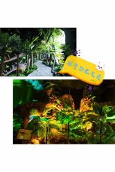 -恐龙探索乐园(磁器口店)