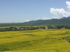 -扁都口生态休闲旅游区