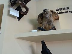 -亿利库布其七星湖沙漠生态旅游区