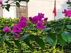 -千滋百味·醉江澜花园餐厅(街道口店)