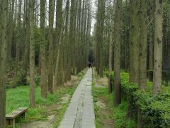 -同里国家湿地公园