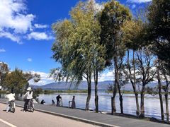 -洱海月湿地公园