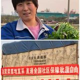 我前几天去菜市场，看到我喜欢的菠菜，都望而却步了