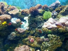 -多彩贵州城极地海洋世界