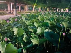 -四川大学(华西校区)