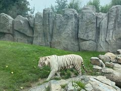 -北京野生动物园