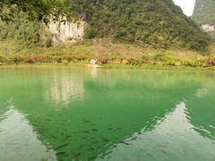-靖西鹅泉风景区