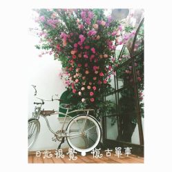 点击看大图 -日光视觉婚纱摄影(旗舰店)