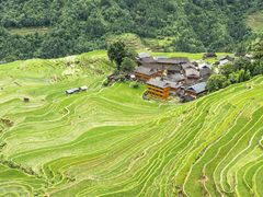 -清真·宁夏印象·盐池滩羊肉体验店(江宁路店)