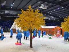 -宁波冰雪大世界(北仑区)