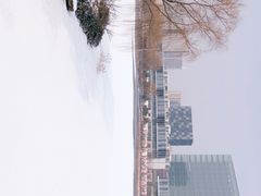 -大兴滨河森林公园