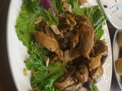-清真悦宾楼食府(海湖店)