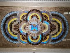 -上海昆虫博物馆