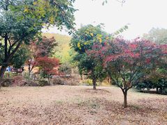 -穹窿山景区