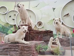 -陕西自然博物馆