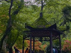 -岳麓山风景名胜区