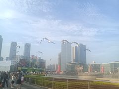-星海广场