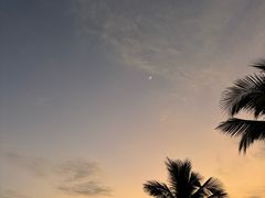 -观澳平台