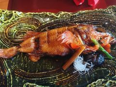 -炎橘·板前料理 Omakase