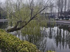 -泰州凤城河风景区-泰山公园