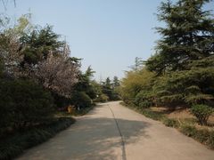 -禹州森林植物园