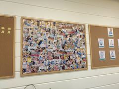 -七田布睿恩全脑早教(梅溪湖新天地步步高店)