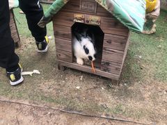 -前小桔亲子创意农场·草莓采摘·露营烧烤