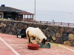 -Cafe Aewol Monsant