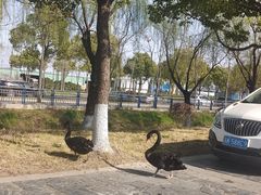 -扬州大学(扬子津校区)