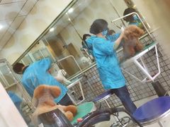 -神采飞扬宠物美容(香港路店)