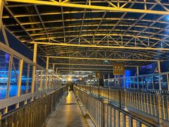 -武汉关码头(轮渡站)