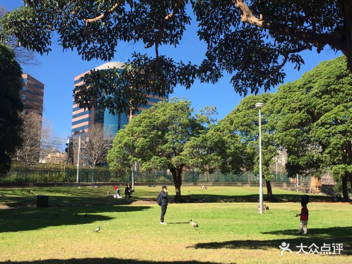 拜莫尔公园图片