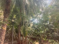 -龙达温泉生态城