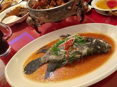 -都市阳光海鲜城(青山湖店)