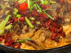 -老板恋上鱼(恒隆广场店)