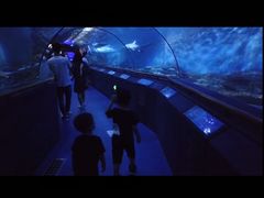 -厦门海底世界