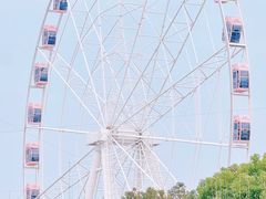 -顾村公园