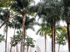 -合江楼