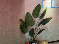-一间森林酒店(上海人民广场店)