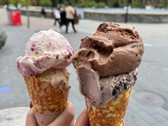 -Patagonia Chocolates(皇后镇店)