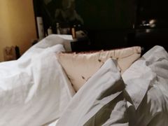 -北京园博大酒店