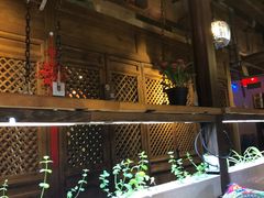 -望京一号·重庆江湖菜(工体店)