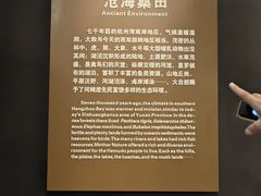 -河姆渡遗址博物馆