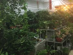 -双季花艺园艺市场(浦东店)